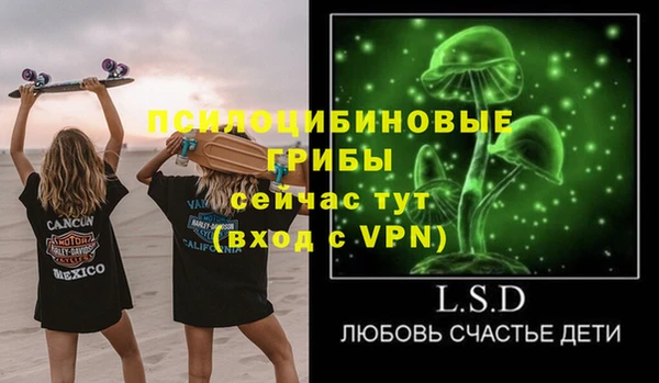 твердый Липки