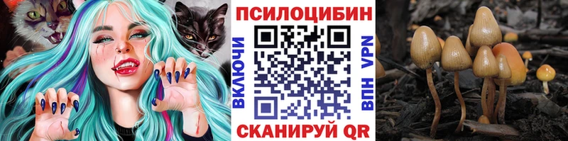 Псилоцибиновые грибы Magic Shrooms  сайты даркнета формула  Казань 