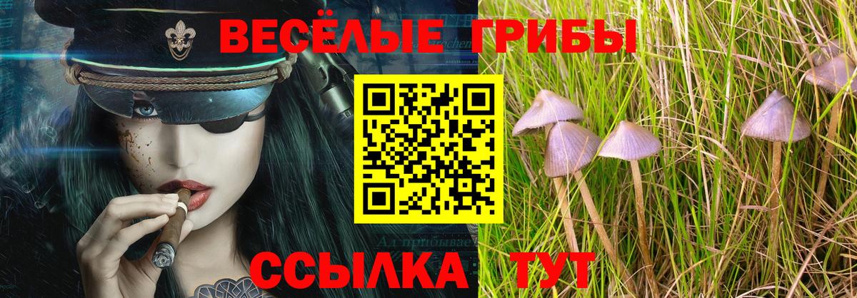 Галлюциногенные грибы Cubensis Казань